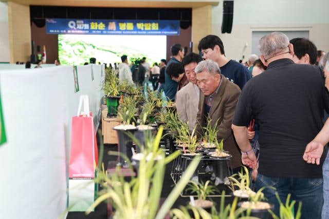 '대상 2000만 원' 화순 빛낸 명품 난(蘭)…감동과 열정, '전국 최초' 수출까지