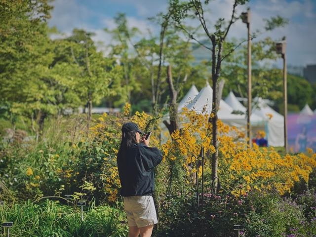 서울국제정원박람회 관람객 1000만 명 돌파… 1년 전보다 2.6배 늘어