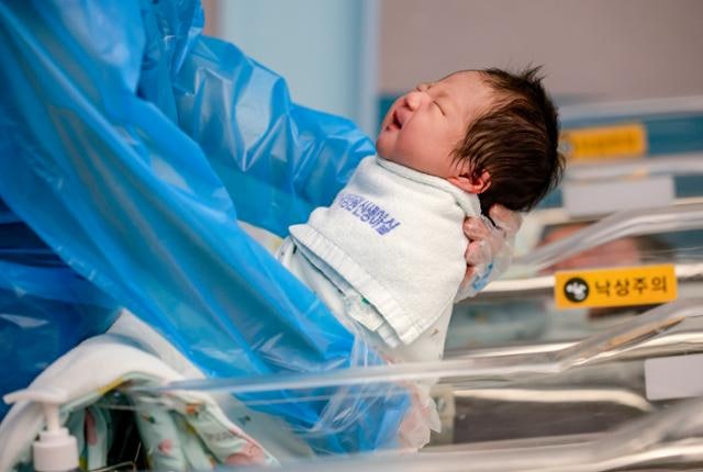 1~8월 누적 출생아 16만8000명... 18년 만에 최고 증가