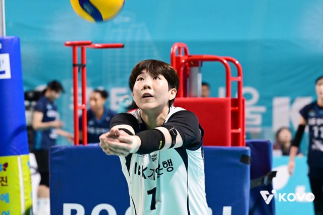 지금 여자 배구는 '부상 주의��보'... 페퍼의 이유 있는 질주