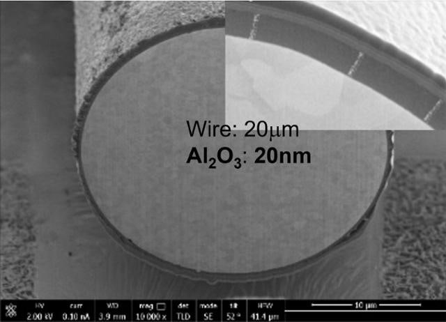 0000896206_001_20251107010021230.jpg?type=w800