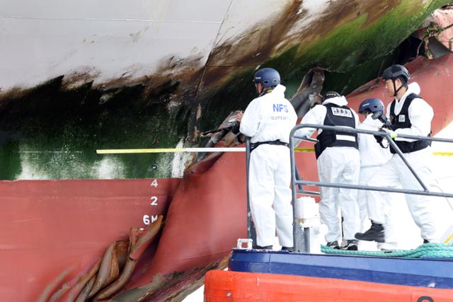 럭셔리 여객선 무인도 충돌 사고의 충격적 진실 선장 항해사 관제탑 총체적 부실