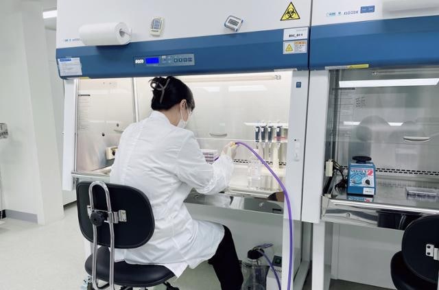 동물실험 없이 임상계획 FDA 승인... '오가노이드 승부수' 통했다