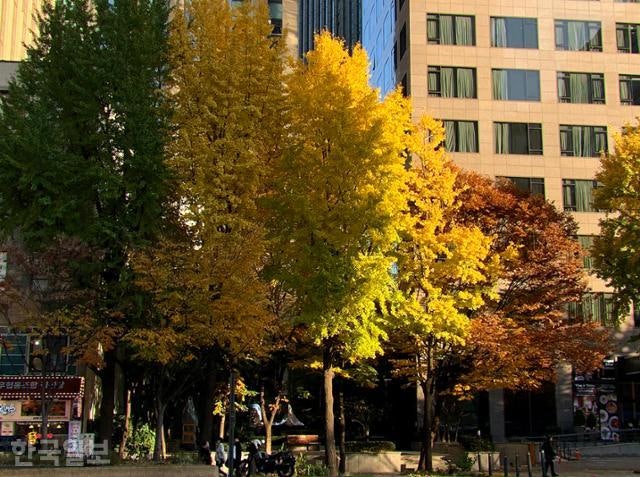 시간이 만든 그림[포토에세이]