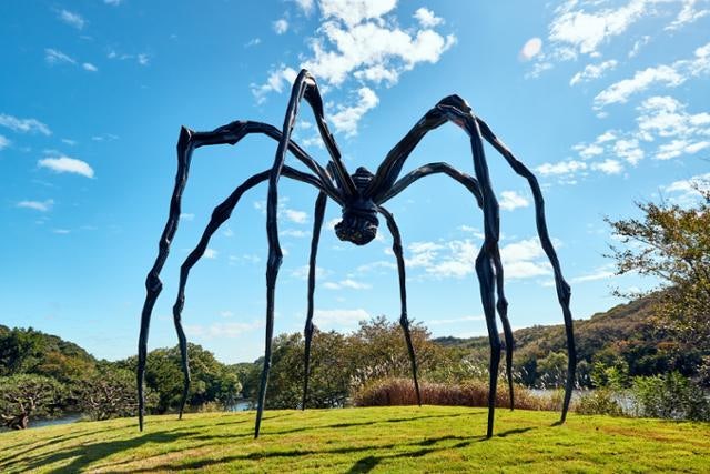 2025년 메세나 대회를 돌아보며…[休·味·樂(휴·미·락)]