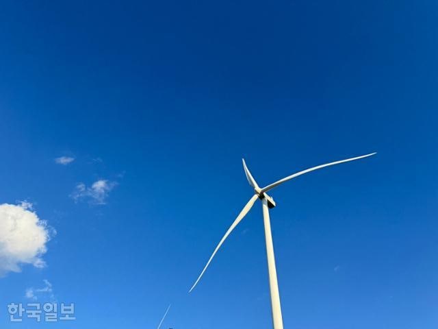 [르포]군위 산등성이에 세운 바람개비 15개...삼성전자 공장에 전기 보낸다