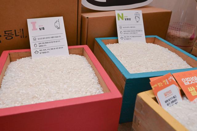 쌀 편집숍 '동네정미소' 영등포 쇼룸에 진열된 다양한 품종의 쌀,'일품'과 '참드림'.강예진 기자