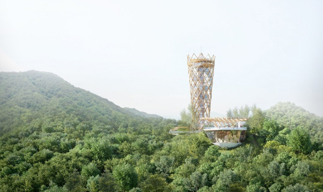 높이 24m에서 도심 한눈에... '대전 보문산 큰나무 전망대' 개장