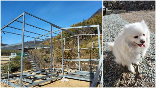 28가구가 모두 남아 마을을 재건하겠다고 뜻을 모은 안동 남선면 신흥리의 빈 터에 새로운 집이 지어지고 있다(왼쪽 사진).산불로 미아가 돼 대피소 생활을 했던 동네 마스코트 강아지 '똘이'도 건강을 회복했다.김현