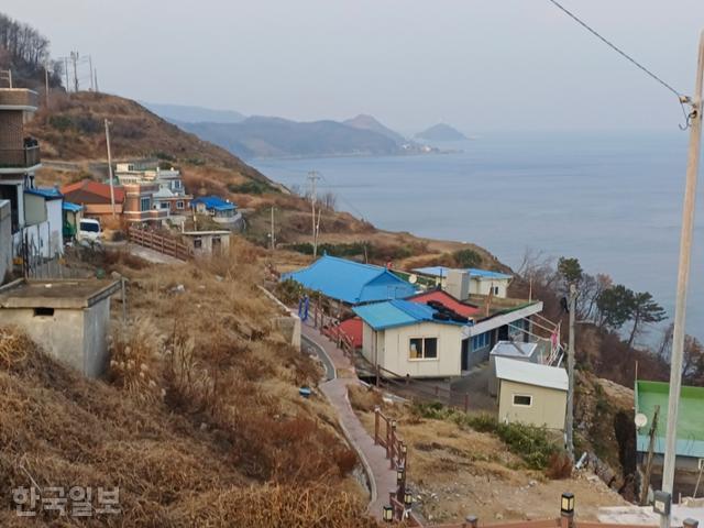 경북 영덕군 영덕읍 석리 따개비마을 곳곳이 불탄 주택들이 철거된 자리에 잡초만 무성히 자란 채 방치되고 있다.6월 철거 후 반년이 넘었지만 주택 재건을 위한 공사는 시작되지 못했다.김영기 석리 노인회장 제공