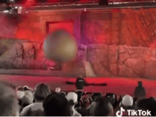 '180kg 바위' 관중석으로... 몸 날려 아이들 구한 미국 디즈니 직원