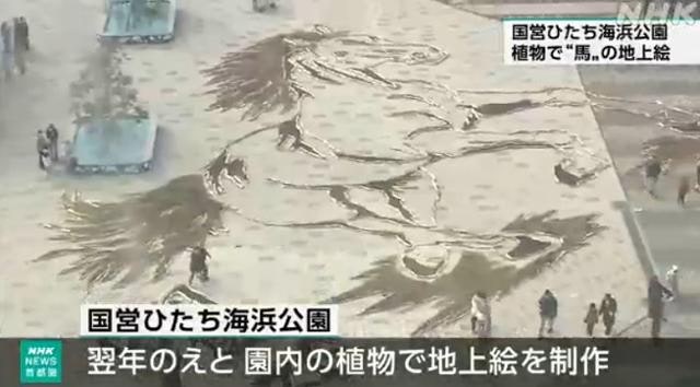 "병오년에 태어난 여자, 남자 잡아먹어"… 이게 도대체 무슨 미신이야? [지구촌  TMI]