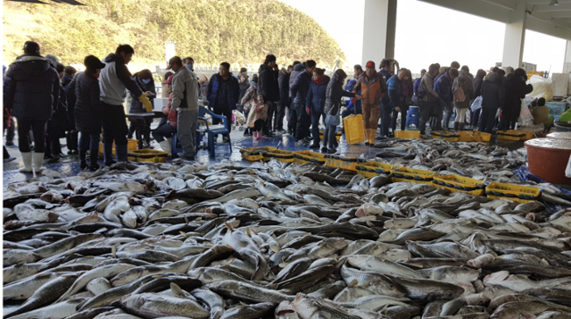 얼음 축제에 얼음이 없네?… 포근한 날씨에 얼어붙은 겨울축제