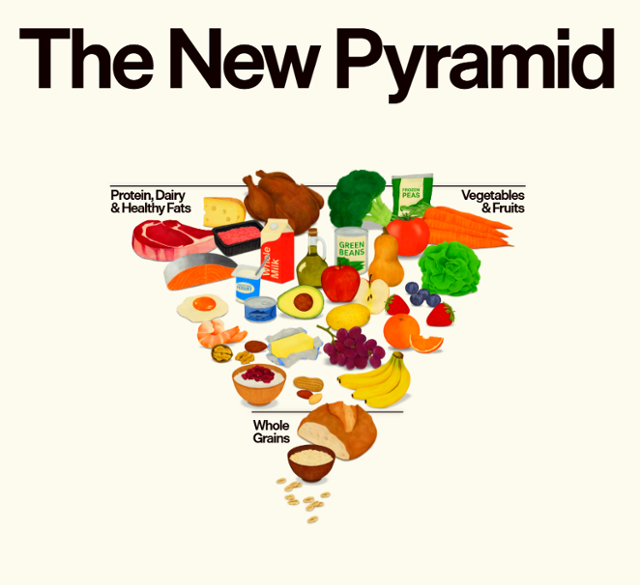 미국 보건복지부가 7일 발표한 '새로운 식품 피라미드'.미 정부 홈페이지 캡처