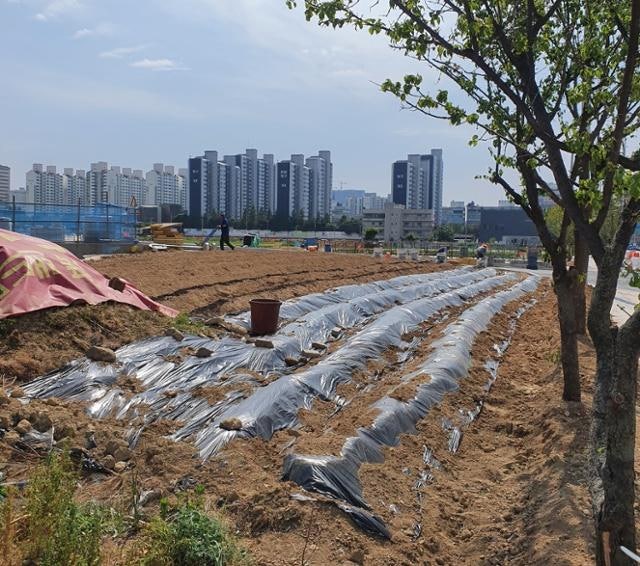 7년째 멈춘 오산 운암뜰 개발 언제… "재산권 제한" 주민 불만