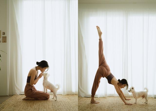 요가하는 누나와 온돌이!보호자 제공