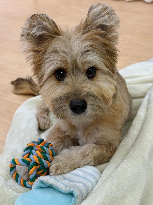 금돌아,넓은 세상을 보여줄게!보호자 제공