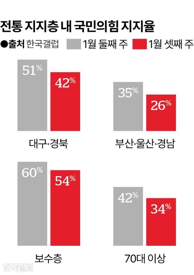 전통 지지층 내 국민의힘 지지율