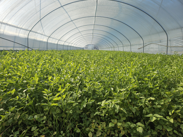 어느 90대 부부의 겨울나기 [삶과 문화]