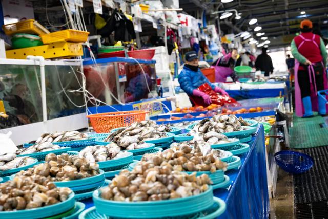 강원 강릉시 주문진항 수산물 좌판 풍물시장에 도루묵 등 제철 어종이 진열돼 있다.