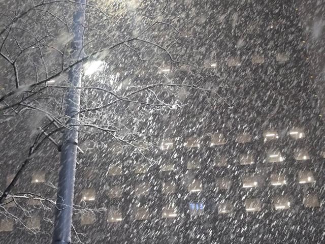 23일 서울 중구에 눈이 내리고 있다.신은별 기자