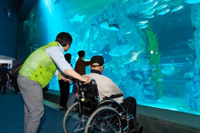 롯데월드 사회배려 계층 우대 온라인 예매 도입