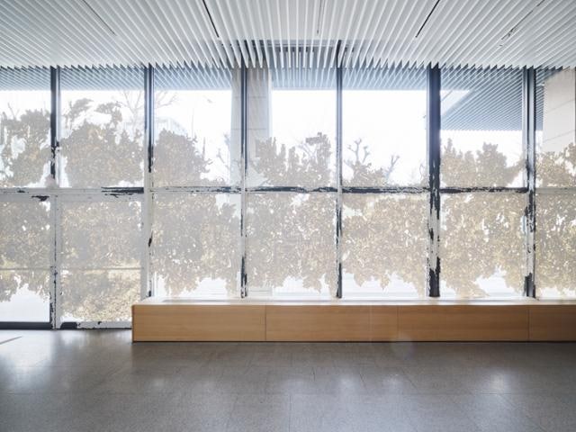 [이번 주 전시] 오류로 만든 미술, 회사 로비로 침투한 미술