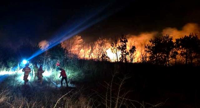 22일 오후 7시 22분쯤 강원 고성군 토성면의 한 리조트 인근에서 화재가 발생해 소방 당국이 진화 작업을 벌이고 있다. 강원도소방본부 제공