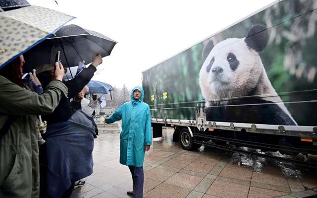 판다, 귀여움이 아닌 생명을 사랑하는 법