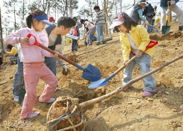 80년 지킨 '4월 5일'과 이번엔 이별 성공?… 기후 수장이 띄운 '3월 식목일'