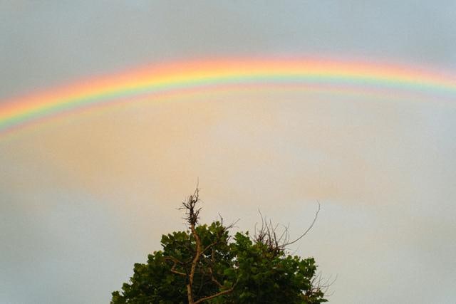 인상된 전세 보증금…가진 건 동산뿐 [2030 세상보기]