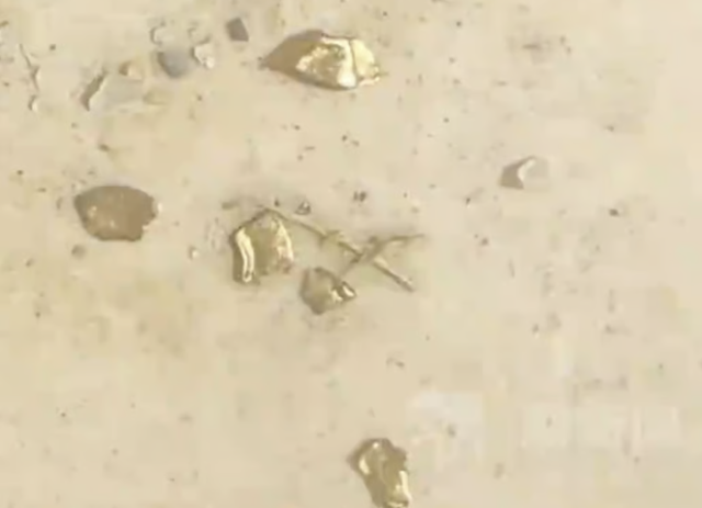 류씨 성을 가진 중국 농부가 키우던 오리 뱃속에서 발견한 금조각들. 중국 온라인 커뮤니티