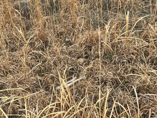 "99% 수습이라더니…" 무안공항서 또 유해 발견, 부실 수습 논란 확산