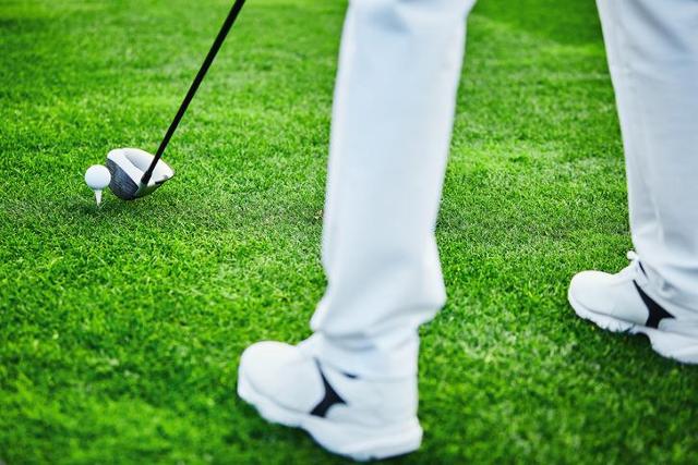 [단독] 정부, 폭행·성범죄 전과자 체육단체 임원 취임 막는다