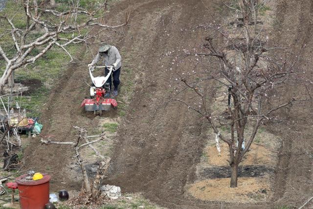 비료 절약 캠페인 나선 정부…"과다 비료 사용 농가는 직불금 감액"