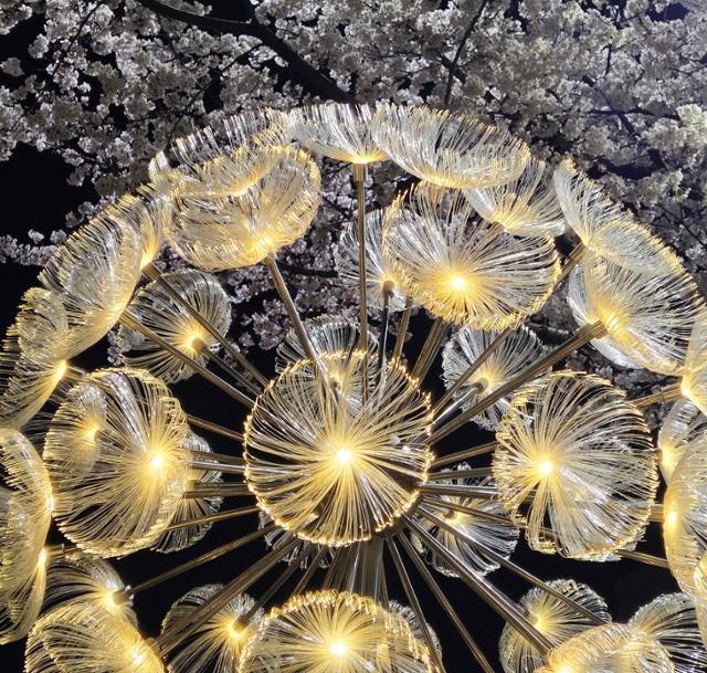 [포토] 무엇일까요?