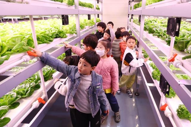 [미지답 칼럼] "없애는 게 상책"… '무균실'이 된 학교