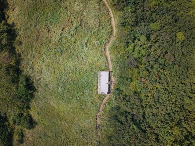 오지 산골서 '러너의 성지'로… 장수 트레일레이스 5000명 몰렸다 [K트레일: 지역 살리는 숲길]