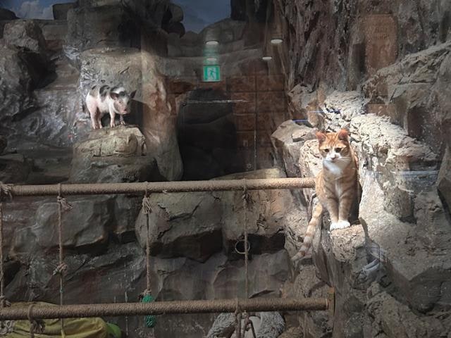 쾰른 동물원과 다른 부천의 정글존 [생명과 공존]