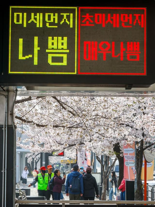 스모그를 아시나요? 지금도 통하는 30년 전 경고