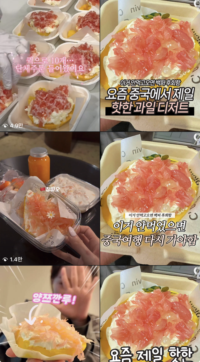 두바이 쫀득 쿠키(두쫀쿠)와 버터떡에 이어 유행 조짐을 보이고 있는 '양쯔깐루' 관련 사회관계망서비스(SNS) 게시물. 인스타그램 캡처
