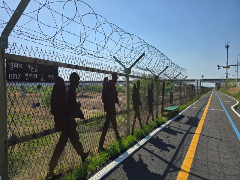 DMZ 철책 따라 걷는 510㎞… 분단의 땅에 '평화의 길' [K트레일: 지역 살리는 숲길]