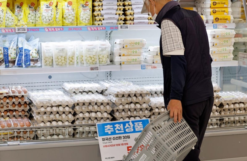 정부, 물가 안정에 1조 투입…전문가 "효과 일시적"