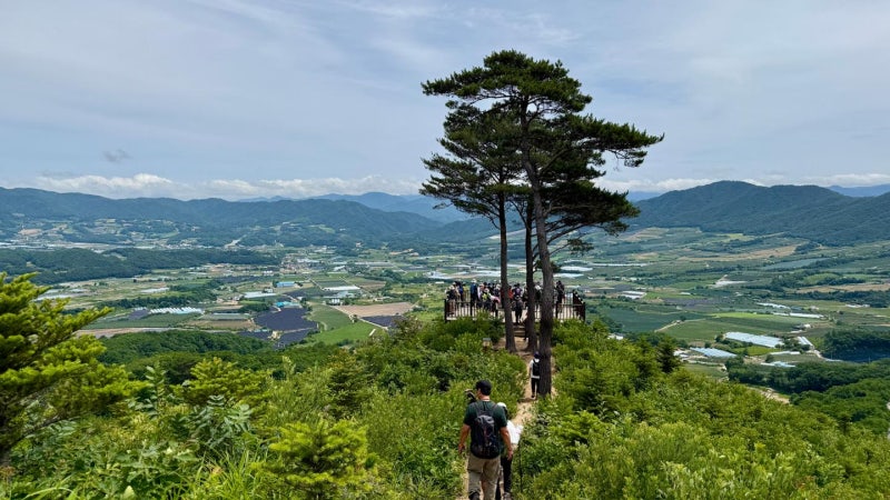 "18만 안보관광객보다 1만 숲길 탐방객"… DMZ 펀치볼 살찌운 숲길[K트레일: 지역 살리는 숲길]