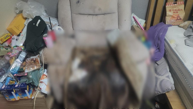 반려견을 병원에 데려가던 남편, 괴사에 죽어간 아내는 모른 척..."나는 몰랐다" [사건 플러스]