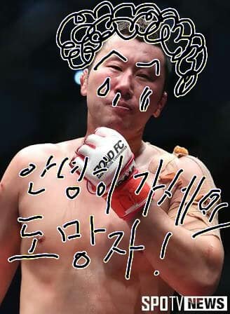 로드FC, 차정환 타이틀 박탈…새 챔피언 최영, 라인재와 대결