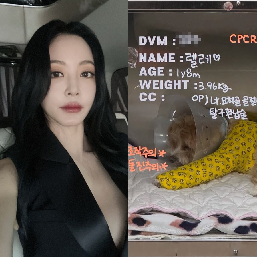 <b>한예슬</b>, <b>반려견</b> 낙상→골절에 "CCTV 확인하니 직원 실수…수술 후 입원...