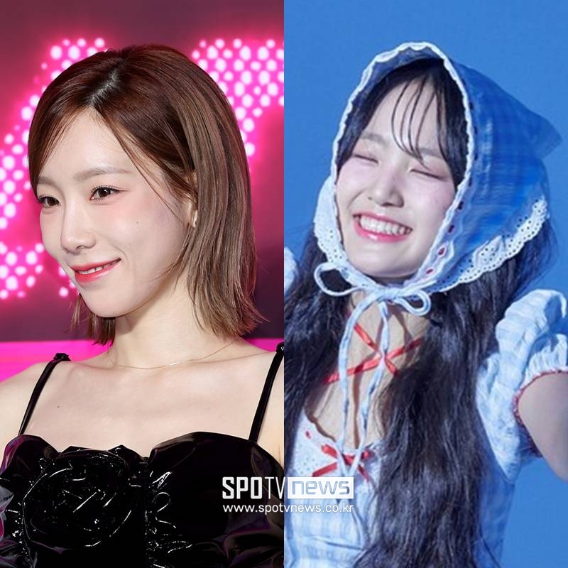 "태연·<b>김태연</b>에 사과"…장수군, 축제 <b>섭외 논란</b>에 2차 입장 '대행사와...