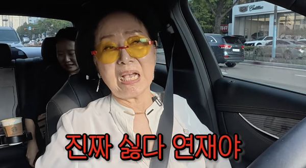 "돈 생각하면 맛 없어" <b>선우용여</b>, 안성재 셰프 '인당 42만원' <b>모수 혹평</b>