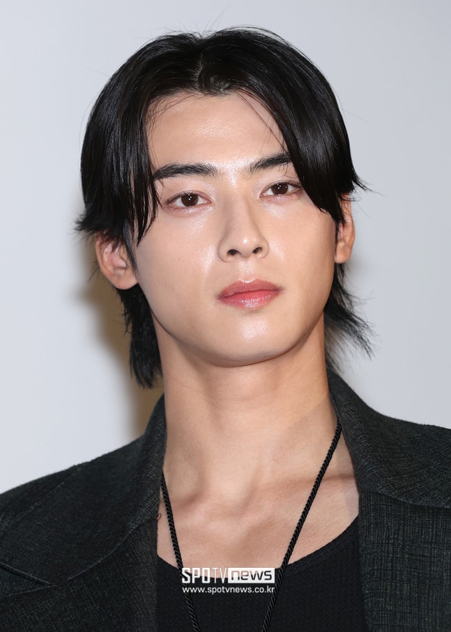 차은우, 200억 탈세 의혹 속 부대 복귀…소속사 "연초 軍 휴가 맞아"[공식]